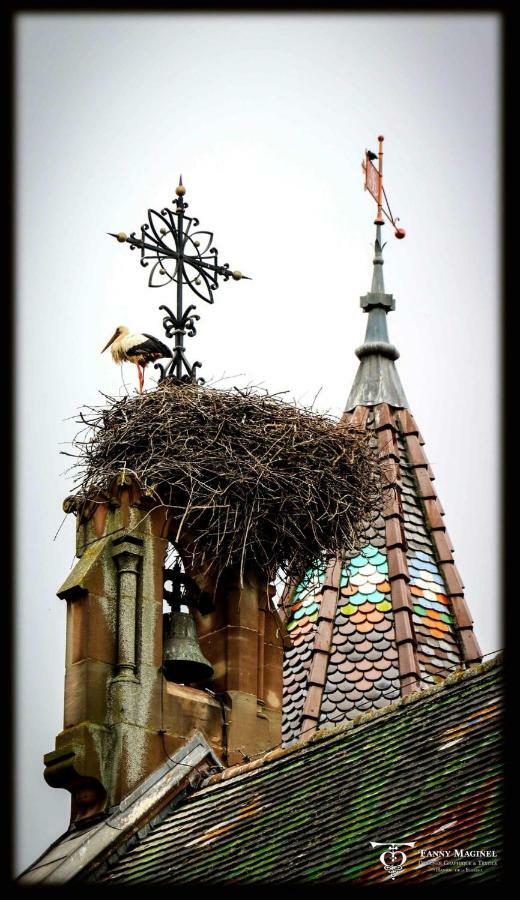 Gite Edelweiss A Эгишем Экстерьер фото